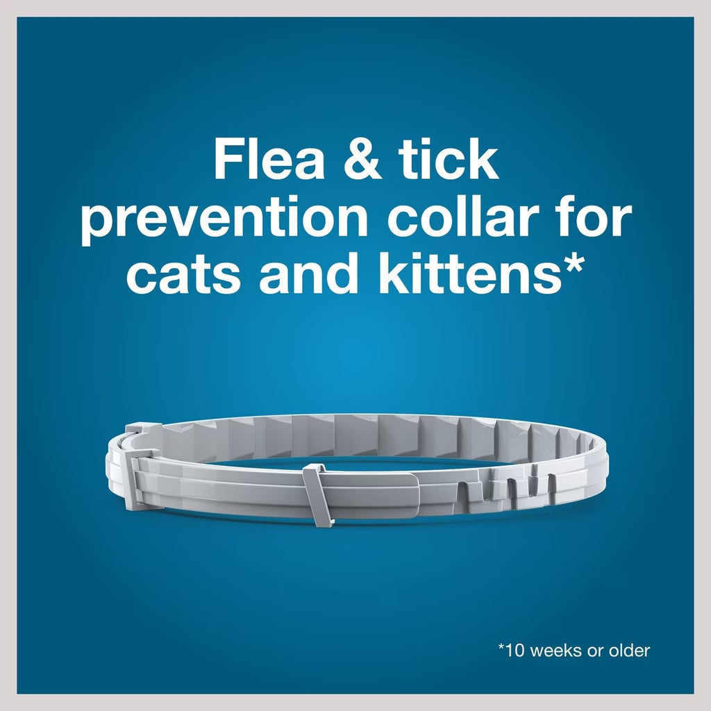 Seresto Flea & Tick Collar for Cats, 1 Collar (8-mos. supply)